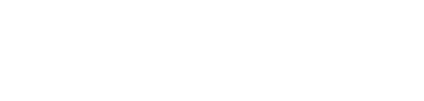 CodiXperts Logo