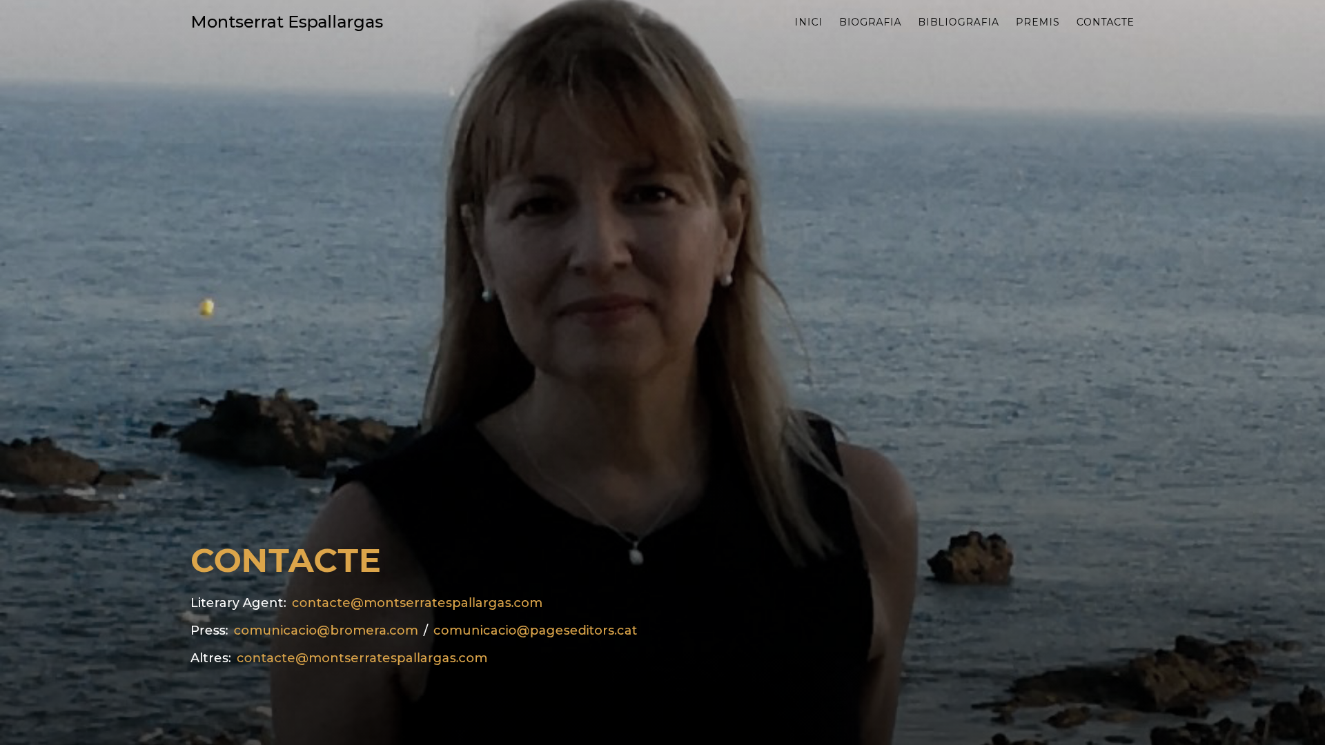 Project image 1